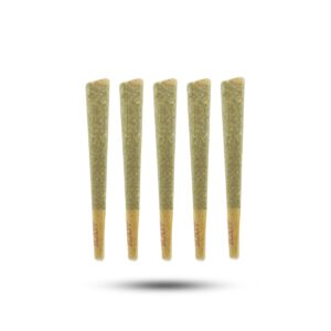 Premium AAAA 1g Pre-Rolls