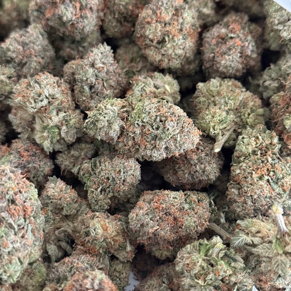 Northern Lights (AAAA-) - Image 2