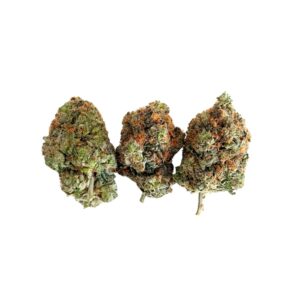 Northern Lights (AAAA-)