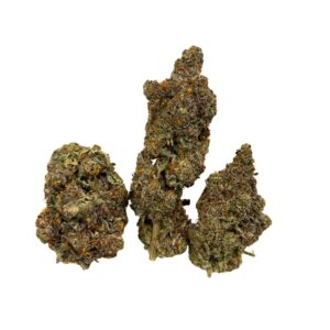 Roswell Code (RARE AAAA+)